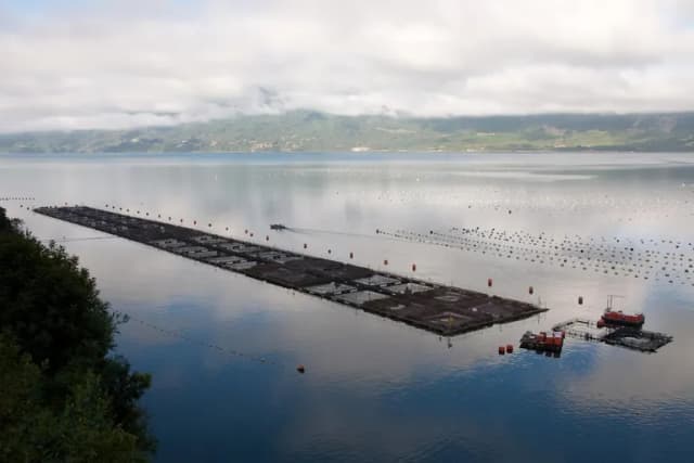 Balsas-jaula de salmonicultura en un lago del sur de Chile